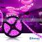flexible led strip light, Bluetooth control 5050 led strip light