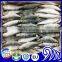 Seafood supplied Whole Japanese scad Decapterus maruadsi