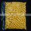 Paintball Balls/Paintball Bullets From Paintball Wholesalers