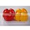 Fresh Red/Yellow Pepper