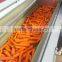 China New Crop Fresh Carrot
