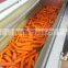 China New Crop Yellow Carrot