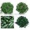 High Protein Spirulina Powder from professional factory