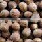 Import china products nutmeg new items in china market