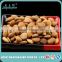 Bulk Apricot Kernel Nut / Name of Dried Fruit Seed
