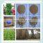 Potting Mix Expanded Vermiculite Horticulture Grade