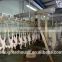 Energy saving stainless steel chicken production plants