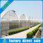 New Style Low Cost Agricultural Multi Span Greenhouse