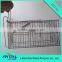 Live Animal Trap