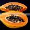 Papaya fruit Microwave vacuum dryer