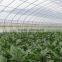 industrial greenhouse For Hot Sale