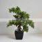 SJ0301125 Guangzhou Shengjie Artificial plant wholesale cypress bonsai tree
