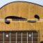 Resophonic guitar, single cone resonator guitar, handmade resonator guitar