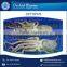 Excellent Quality and Tasty Octopus from Wholesale Supplier