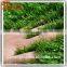hot sale super lower price synthetic turf soccer artifcial grass