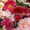 colorful artificial flower