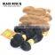 Wholesale 24 inch Ombre Human Braiding Hair,Double Weft Color 1b 27 Ombre braiding Hair