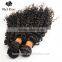 Fasion style cheap price human virgin for black women indian kinky curly remy hair