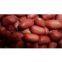 peanut  kernels RED type
