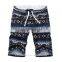 High Quality Casual Mens Stripe Lattice Fitness Beach Shorts