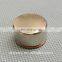 N42 Disc Dia 20x10 mm Strong Neodymium Magnets Rare Earth Magnets Permanent magnets