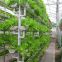 Glass Greenhouse with Hydroponic Growing System for Agriculture Planting