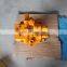 Excavator Hydraulic Motor DX340 DX340LC Swing Motor