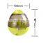 Interactive Dog Toys Treat Dispenser IQ Ball Dog Treat Toys For Puppy
