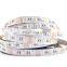 New 2021 RGBW LED strip waterproof 12V 24V 5050smd led lighting led flexible 5050 led strip 24v rgbw 4 in1