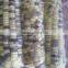 USA Fresh Yellow Sweet Corn Vietnam With Best Price