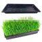 2021 hot sale High Quality Plastic seed tray making machine