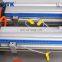 50-500ml double Head Liquid Softdrink Pneumatic Filling Machine