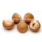Special products betel nut with competitive price