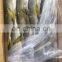 frozen yellow tail Travelly Fish yellowtail Seriola quinqueradiata