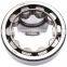 SL04 5006PP Bearing Full Complement Cylindrical Roller Bearing