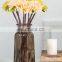 New Design Wholesale Wedding Home Decorative Creative Round Clear Brown Gold Glass Pot Flower Vase