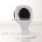 Hot selling p2p nvsip ip camera with low price
