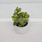 Handmade indoor decoration artificial ornamental plants/artificial plants and trees