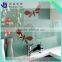 Haojing Glass Supplier 4mm 5mm 6mm Spray Painted Glass
