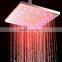 LED Rainfall Shower Head SDH-C7
