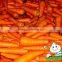 China Baby Carrot,New harvest fresh Carrot with Bright color