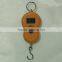 Hand Hold Weighing Scale With Hook