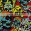 Factory Price RISHINE Wholesale Skull Pattern Hydrographics Film Water Transfer