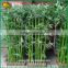 China supplier artificia bamboo high quality plastic artificial bamboo