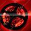 5050 5m 500cm Red 300 LED SMD Flexible Strip Lights Lamp DC 12V