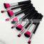 2016 10pcs hot sell facial cleansing makeup cosmetic brush set with package wholesale