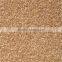 Cut Piles PP TFHS Economy Office Carpet