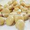 Canned mushroom with good quality for sale