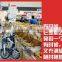 Electric Bicycle