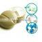4 compartsment Pill Box/plastic medicine case